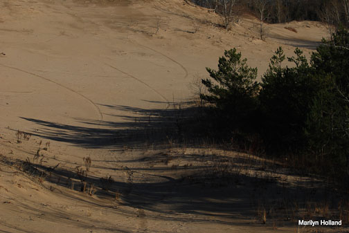 sand dune