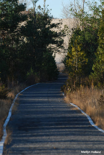 Dunes Trail