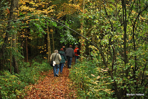 hikers