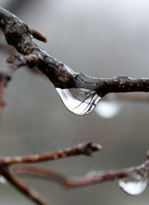 water droplet